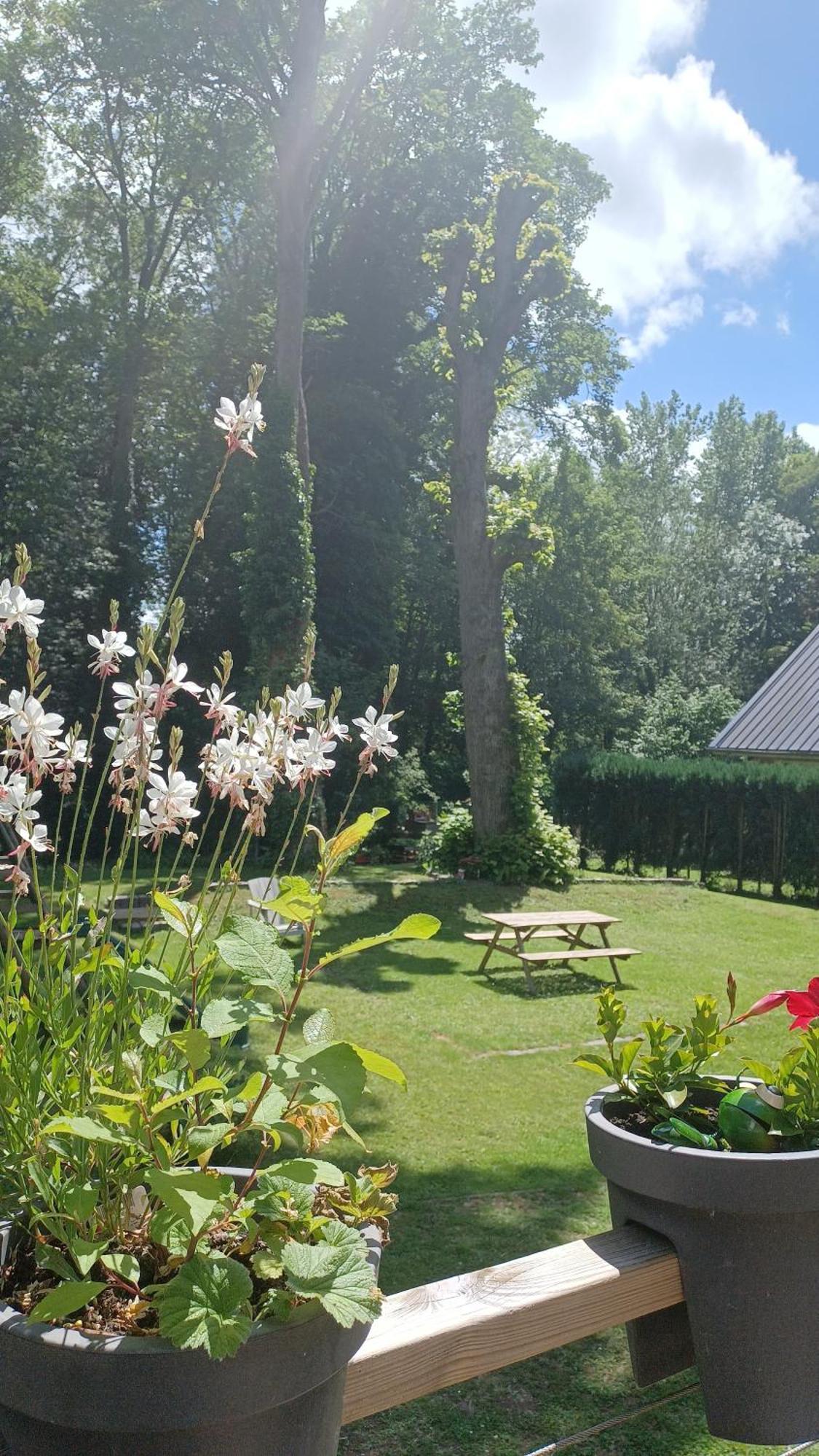 Bed and Breakfast L'Hothentique Proche Arras Saint-Laurent-Blangy Exterior foto